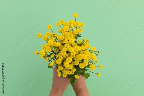 Person holding bunch of yellow flowers on green background