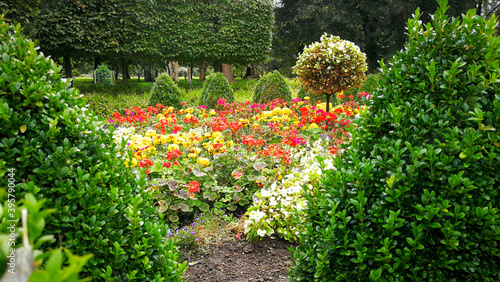 flower bed in the garden