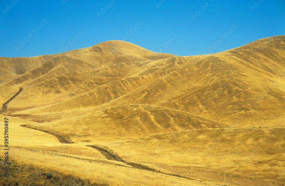 Road across yellow hills