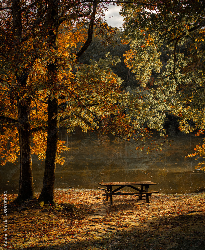 bench in autumn park bench in autumn park