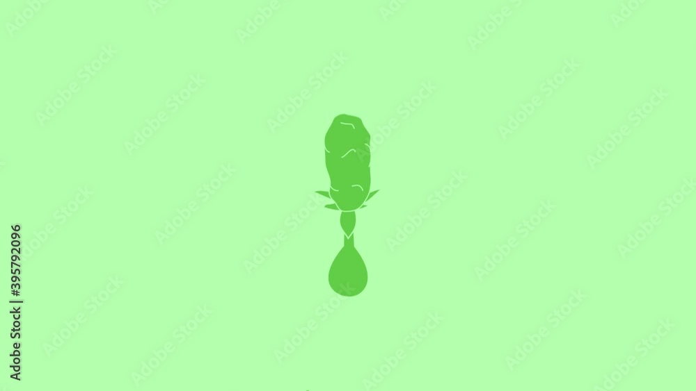 2D animation of marijuana bud extracted in to CBD oil. 2D animation of marijuana bud extracted in to CBD oil.