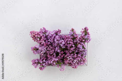 Gift box with lilac flowers on white background.