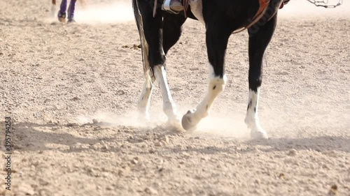 Walking and running horse legs in a dusty arena slow motion. photo