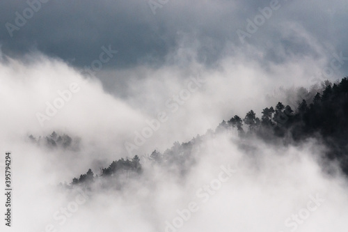 intreccio di colline fra le nebbie toscane