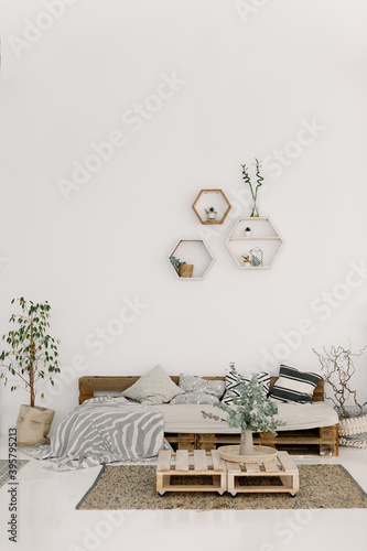Spacious, well-lighted flat in scandinavian style. White living room with sofa. Scandinavian interior design