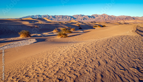 Mesquite Dunes - Death Valley National Park