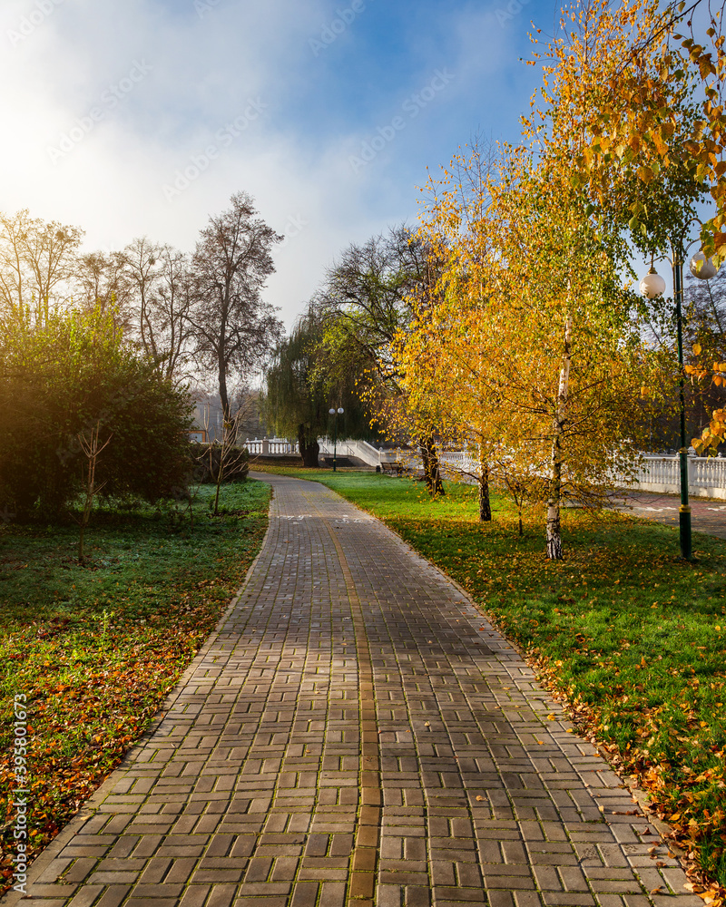 Fototapeta premium Cold autumn morning in the city park.