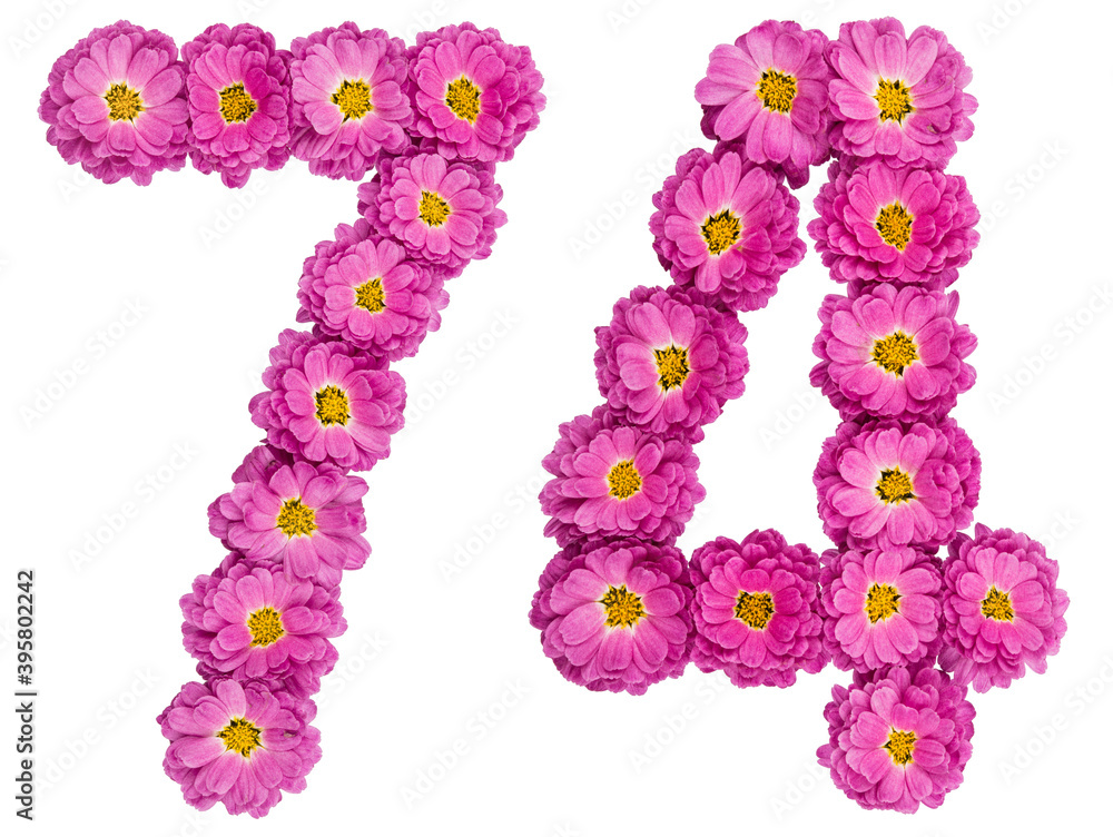 Arabic numeral 74, seventy four, from flowers of chrysanthemum, isolated on white background