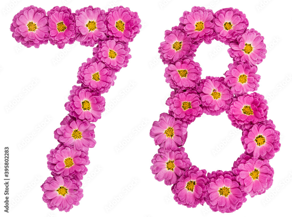 Arabic numeral 78, seventy eight, from flowers of chrysanthemum, isolated on white background