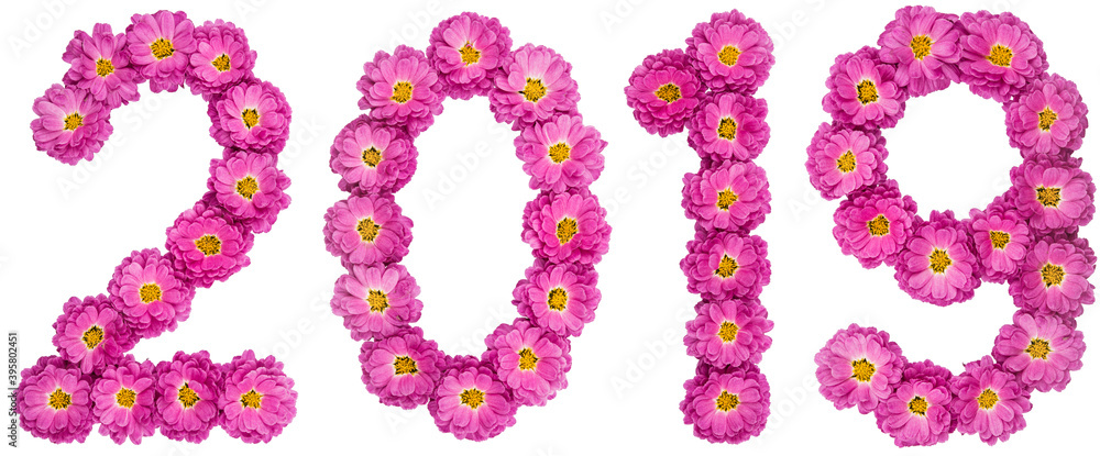 Numeral 2019 from flower of chrysanthemum, isolated on white background