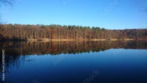 Spiegelndes Ufer am Lütauer See