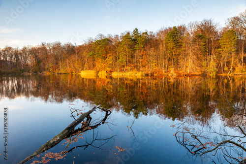 A calm lake, framed by forest, the trees of which are shone on by the evening sun.