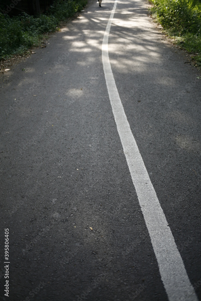 road in the countryside. sunlight on asphalt road in the countryside. sunlight on asphalt