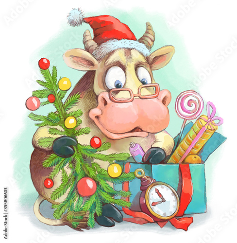 Funny illustration. The bull symbol of 2021 sits with a Christmas tree and looks into a box of gifts.
