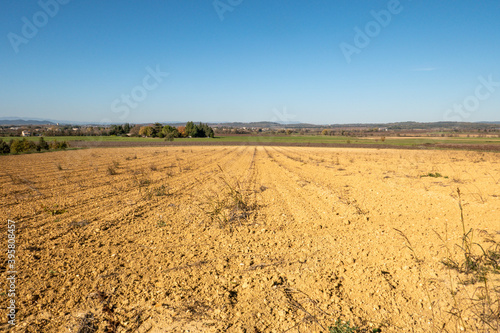 plowed field and agricultural landscape