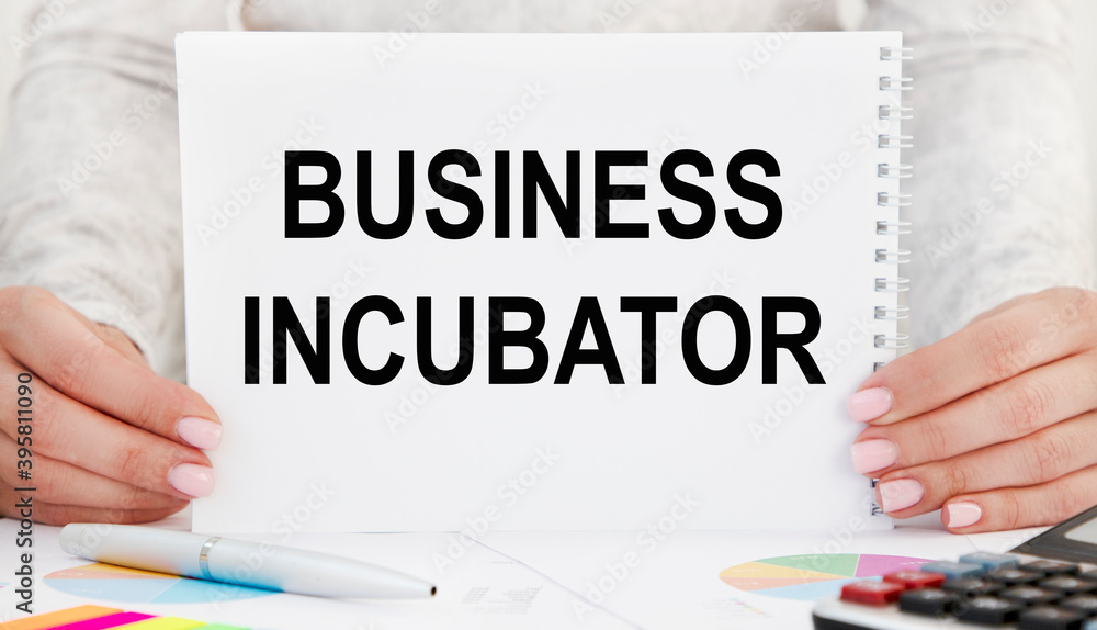 The girl holds the text BUSINESS INCUBATOR in front of her, next to the calculator, reports. The girl holds the text BUSINESS INCUBATOR in front of her, next to the calculator, reports.