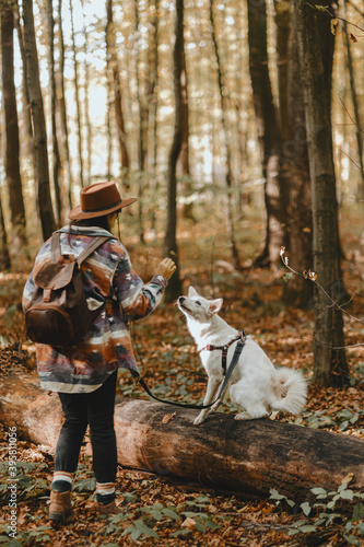 Stylish woman training white dog in sunny autumn woods. Cute swiss shepherd puppy learning
