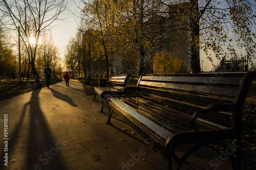 autumn in the park