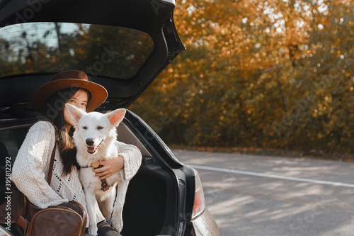 Road trip with pet. Stylish woman sitting with cute white dog in car trunk at sunny autumn road © sonyachny