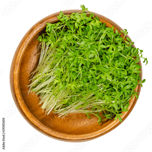 Garden cress sprouts in a wooden bowl. Cress, pepperwort or peppergrass. Green seedlings and young plants of Lepidium sativum, a healthy microgreen. Close-up, from above, over white, macro food photo.