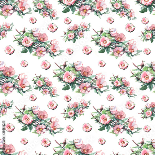 Wallpaper Mural Rosehip watercolor hand-drawn illustration. Fruits, berries, flowers and leaves of the plant. Print, textile, sketch. Vintage, retro, realism style. Flowering, flora, vegetation, seamless pattern Torontodigital.ca