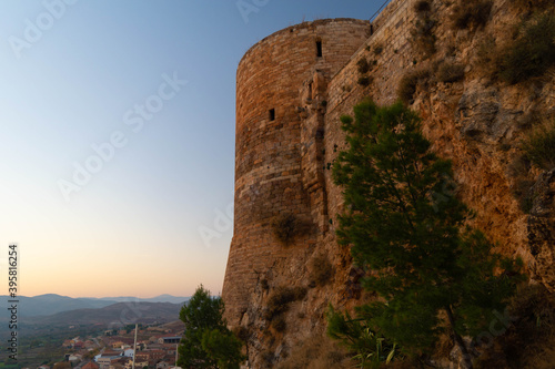 Exterior wall with a tree of the medieval castle of Mesones de Isuela in Aragon, Spain photo