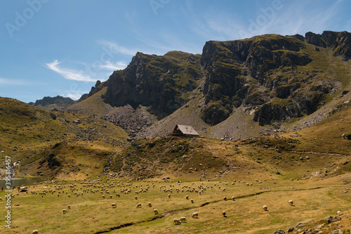 Sheep grazing scattered across the pastures next to the Ayous refuge with mountains in the background