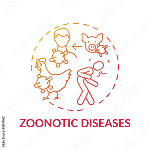Zoonotic diseases red gradient concept icon. Bird, pig flu. Swine influenza. Infection from animal. Healthcare idea thin line illustration. Vector isolated outline RGB color drawing