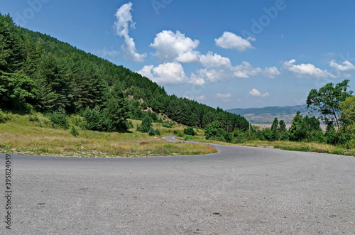 Green forest, road and flower meadows in Rila mountain, Bulgaria 