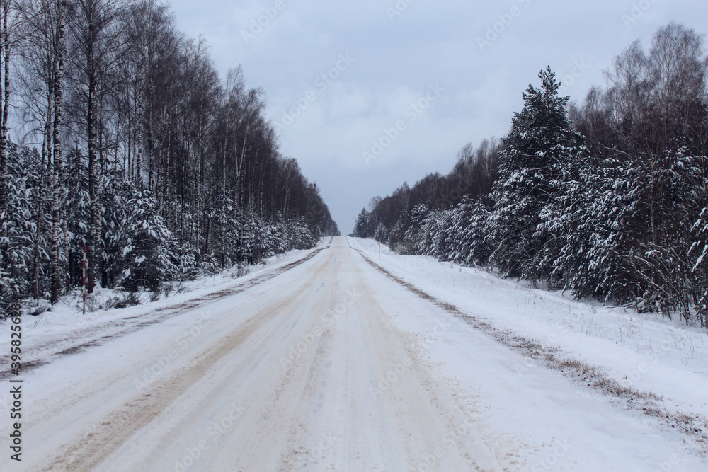 Winter forest road in snow surrounded by trees, winter landscape