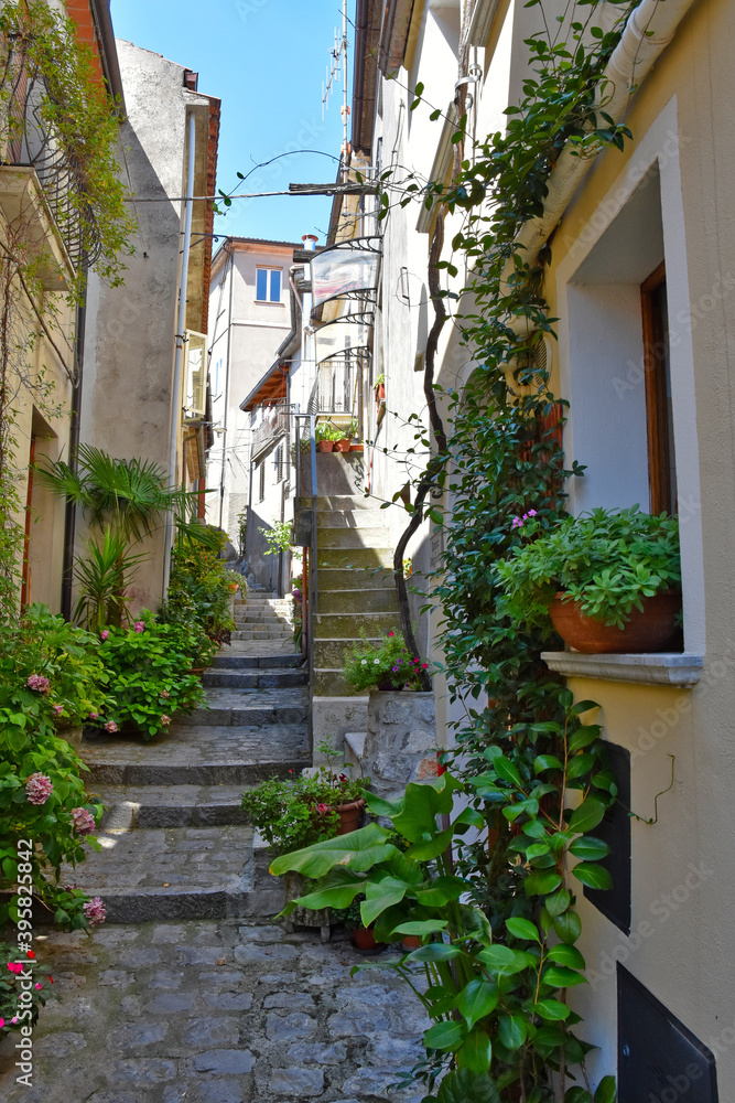 A narrow street among the old houses of Rotonda, an old city in the Basilicata region, Italy.