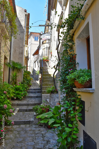 A narrow street among the old houses of Rotonda, an old city in the Basilicata region, Italy.
