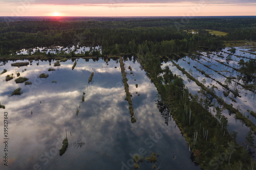 aerial drone shot view look from above of a swamp moss national park in Latvia, Kemeri with a trail and small ponds peat bog turbary reflection of the sky photo