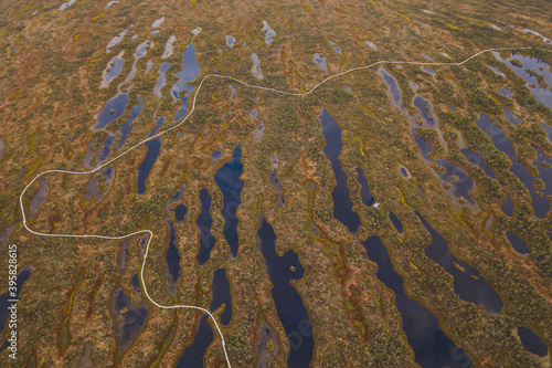 aerial drone shot view look from above of a swamp moss national park in Latvia, Kemeri with a trail and small ponds peat bog turbary reflection of the sky