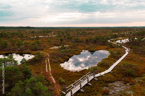 sunrise over a national park in Latvia, swamp ponds moss wooden trails sunshine through the clouds