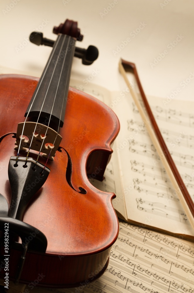 Fototapeta premium Violin.