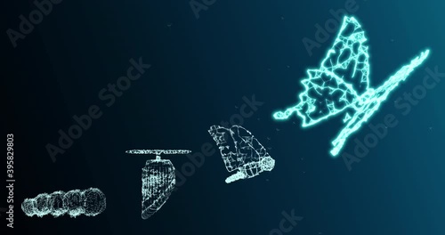 3D Illustration Innovation evolution butterfly for abstract concept of freedom develop future business technology leadership disrupt transform change innovation 5G fintech blockchain network gr