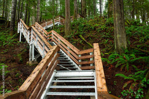 Tablou pe pânză Contemporary stairway in Elk Falls Provincial Park in Campbell River in Canada