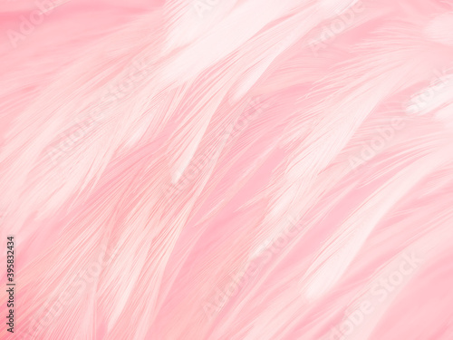 Beautiful abstract light pink feathers on white background, white feather frame texture on pink pattern and pink background, love theme wallpaper and valentines day