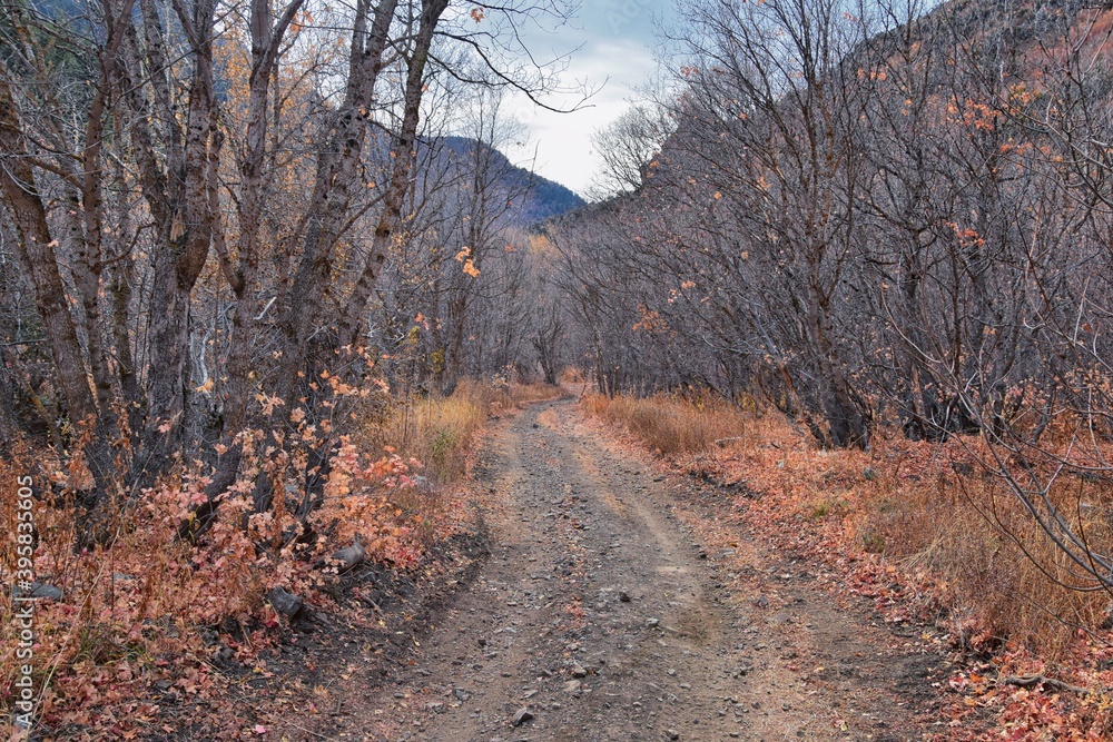 Slate Canyon hiking trail fall leaves mountain landscape view, around Slide Canyon, Rock Canyon and Provo, Wasatch Rocky mountain Range, Utah, United States. Slate Canyon hiking trail fall leaves mountain landscape view, around Slide Canyon, Rock Canyon and Provo, Wasatch Rocky mountain Range, Utah, United States.