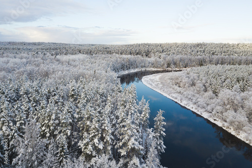 snow covered trees in the winter drone shot from above forest beautiful scenery with a river Gauja flowing not frozen reflection mirror with a little sunshine