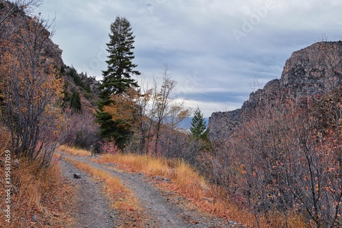 Slate Canyon hiking trail fall leaves mountain landscape view  around Slide Canyon  Rock Canyon and Provo  Wasatch Rocky mountain Range  Utah  United States. 