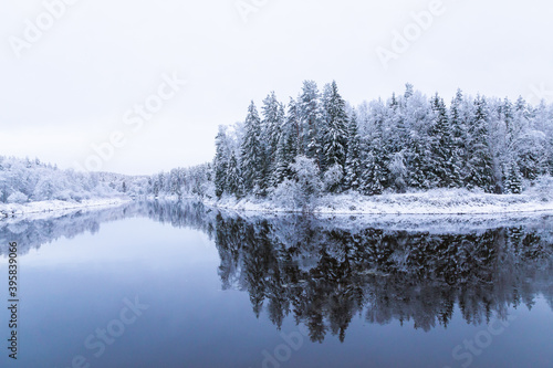 snow covered trees in winter winter scenery over the Gauja river Latvia longest river reflection mirror cloudy not frozen water © Nauris