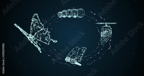 3D Illustration Innovation evolution butterfly for abstract concept of freedom develop future business technology leadership disrupt transform change innovation 5G fintech blockchain network gr photo