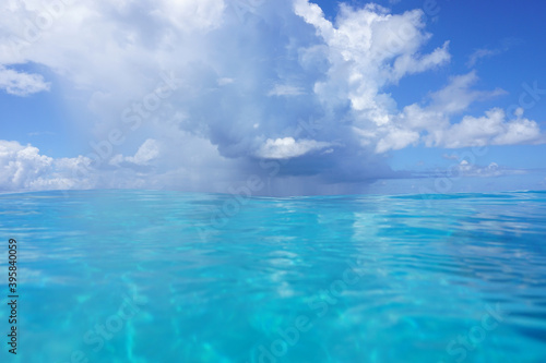 Seascape background, blue sky with cloud on the ocean, seen from water surface, natural scene, south Pacific ocean © dam