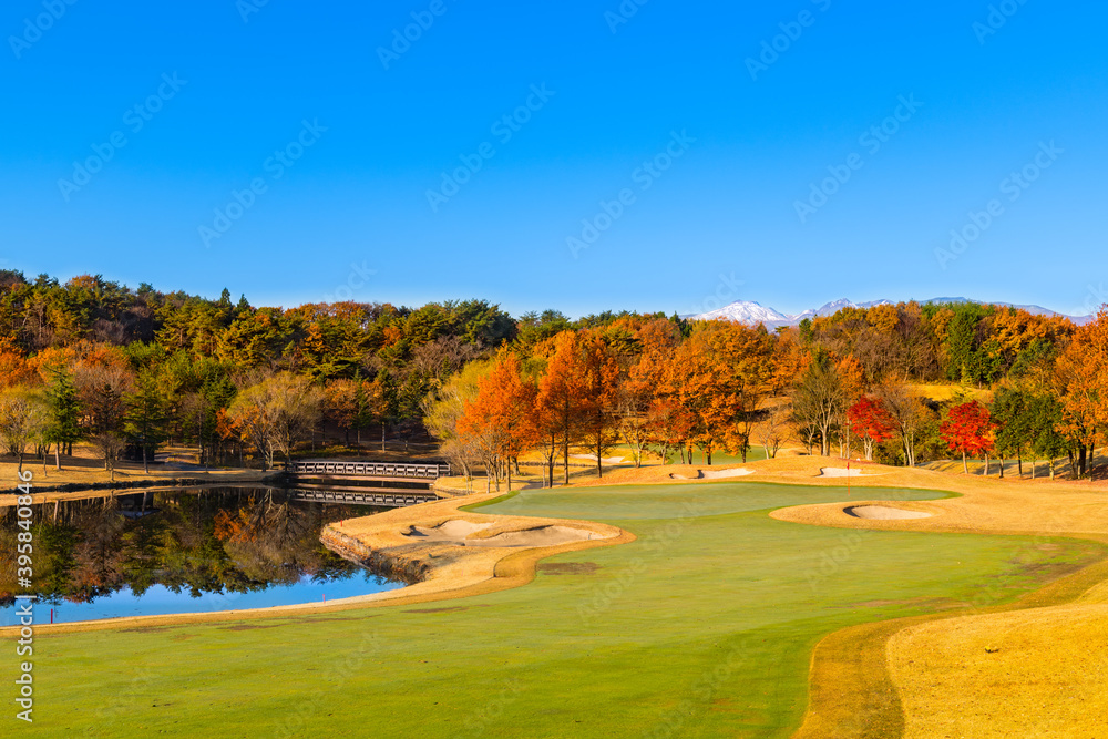 Fototapeta premium 日本 早朝で紅葉のゴルフ場水鏡の池と橋