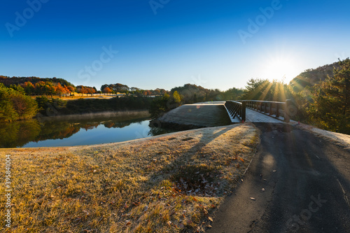 日本 早朝で朝霜の紅葉のゴルフ場池と橋