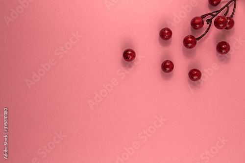 Christmas composition, red berries on a pink red background, flat lay