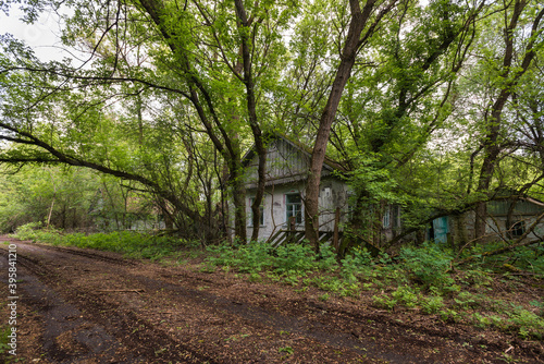 Street of abandoned village in Chernobyl zone