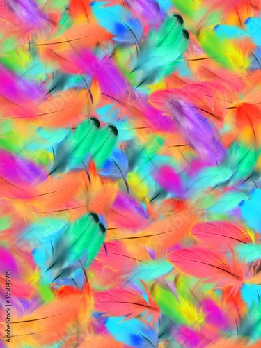 colorful feathers background © Beauty
